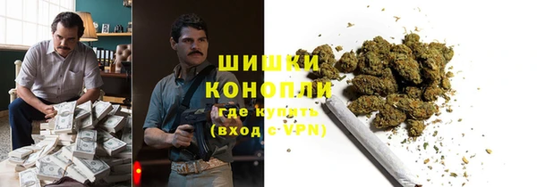 PSILOCYBIN Аркадак