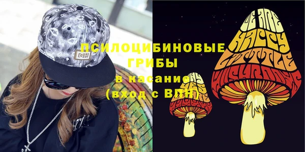 PSILOCYBIN Аркадак