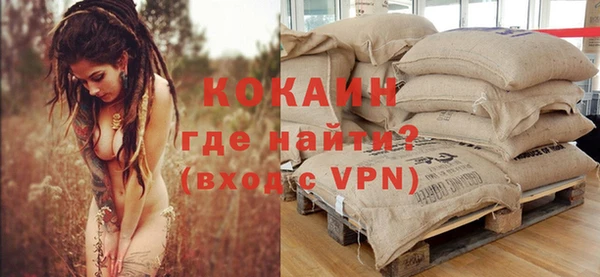 PSILOCYBIN Аркадак
