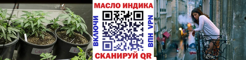 Купить где  Миньяр  ТГК концентрат 