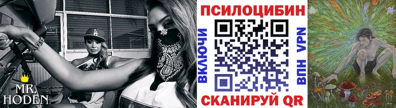 Псилоцибиновые грибы мицелий  Купить где  Миньяр 